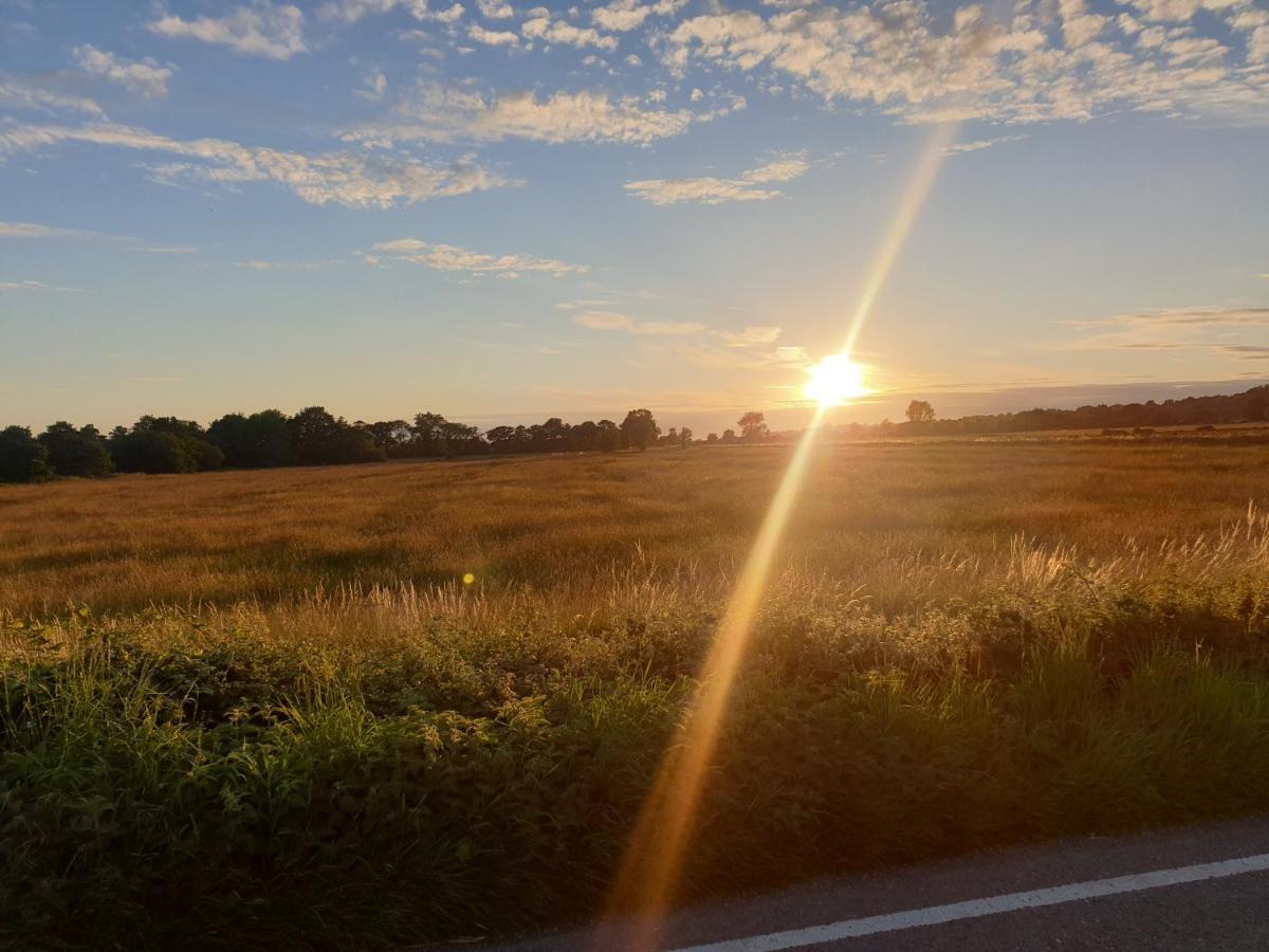 グラストンベリー Millbatch Farm Bed & Breakfast エクステリア 写真
